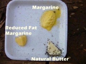 Butter Versus Margarine